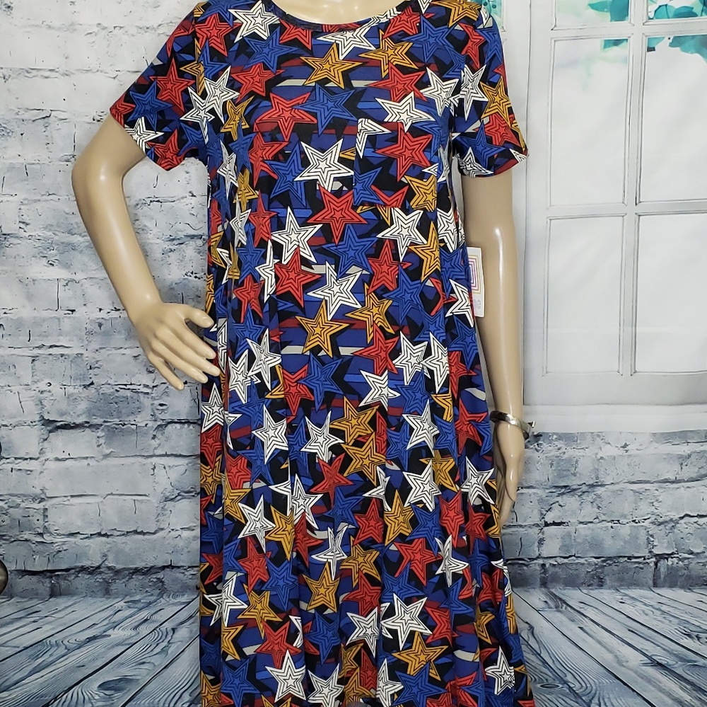 NWT LuLaRoe Carly Dress S